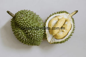Durian congelado IQF: Granja fresca, envasada al vacío, sin OGM, estándar de exportación, suministro de gran cantidad, sin conservantes/Sra. Lima - Product Image 6