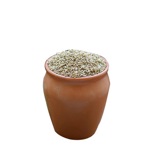 Carom ที่คัดสรรแล้ว (ajwain) | สมุนไพรพรีเมี่ยมสำหรับใช้ในชีวิตประจำวัน - Product Image 6