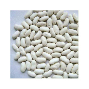 Frijoles blancos orgánicos de alta calidad Precio de fábrica al por mayor Suministro a granel para exportadores minoristas e industria de procesamiento de alimentos - Product Image 5