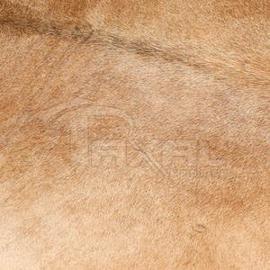 High Quality Cowhide Western <b>Rugs</b> Custom Size OEM Service Price - Product Image 5