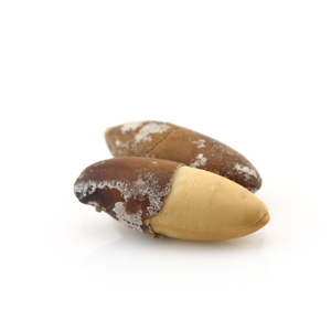 Empório do Cerrado Noix de Baru Grillées Brésiliennes Dipteryx Alata, Superaliment Agroécologique du Cerrado, Snack Premium Salé et Non Salé - Product Image 4