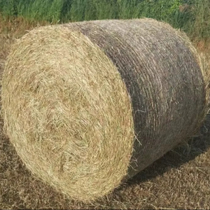 หญ้าแห้งหญ้าแห้งและหญ้าหมักคุณภาพสูงบันทึกได้ดีมากทั้งหมด - Product Image 1