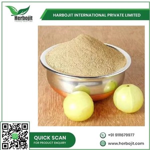 Remedios ayurvédicos en polvo de Amla orgánico de alta calidad que apoyan el crecimiento del cabello y la inmunidad disponible a granel - Product Image 4