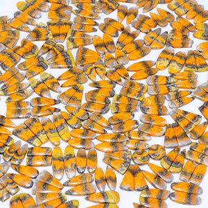 Venta al por mayor Bumble Bee Jasper par Natural Jasper par Healing Crystal Bumble Bee Jasper par cabujón piedras preciosas sueltas - Product Image 3