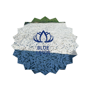 Suplemento proteico orgánico y hueso de sepia seca, los mejores regalos personalizados para periquitos, dietas de aves - Product Image 1