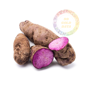 Yam dulce púrpura vietnamita de alta calidad, fresco y puro, precios competitivos para pedidos a granel, entrega internacional rápida - Product Image 2