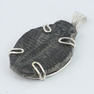 La mejor calidad Natural Tribolite Rough Gemstone Silver Pendant Hecho a mano Prong 925 Solid Sterling Silver Statement Pendant - Product Image 3