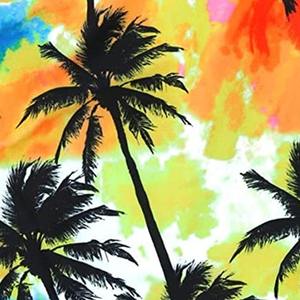 Hot Selling Sublimation Printing Solid Casual Breathable 100% Cotton Canvas Summer Running <b>Shorts</b> Men High Quality <b>Cheap</b> Price - Product Image 5