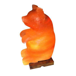 Himalaya Camel Sel Lampe Ampoule Couleur Naturelle Forme Animale À La Main Real Touch Rock Sel Lampe Base En Bois Pas Cher Pakistanais Fabriqué - Product Image 2