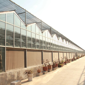 Commercial Multi Span Glass <b>Greenhouse</b> for Nursery Projects with Professional Design and Site Engineering Help - Product Image 4