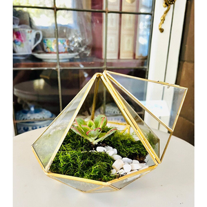 Nouveau Terrarium en métal et en verre de conception diamantée Vaisselle de fantaisie Terrarium d'intérieur pour fournisseur en gros à prix compétitif Or - Product Image 1