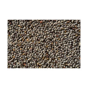 ถุงส่งออกขนาด25กก. และ50กก. เมล็ดคาโนลา - Product Image 6