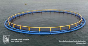 Jaula redonda AQT de HDPE de la MEJOR CALIDAD, diámetro de 10m a 50m, para piscicultura, con una vida útil de más de 20 años con mantenimiento regular. - Product Image 3