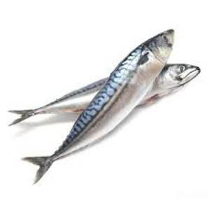 Oferta de Pescado Congelado: Caballa Entera a Precios Bajos - Product Image 3