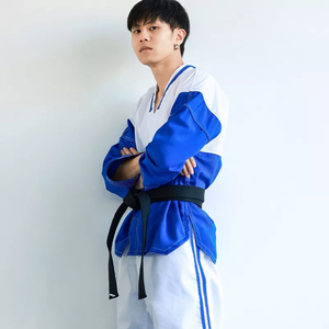Vente en gros d'uniformes d'arts martiaux de Taekwondo uniformes avec logo personnalisé vêtements de karaté judo uniforme de Taekwondo kickboxing - Product Image 2