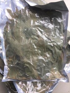 Gran oferta, proveedor completo, hojas secas de Guanábana/hoja de Graviola de alta calidad de Vietnam - Product Image 6