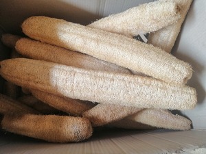 Éponge luffa séchée pour le nettoyage/luffa à vendre du Vietnam or 99 - Product Image 2