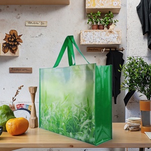 Bolsa de Compras Laminada Impresa de PP Reciclado - Bolso Reutilizable Ecológico para Negocios, Compras y Exposiciones - Product Image 2