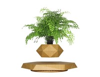 Jarrón de Mesa Flotante con Diseño de Piedra de Madera, Giratorio y Levitante, Desafía la Gravedad |   Maceta para Bonsái Art Deco Única y Preciosa
