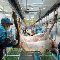 Ligne complète d'abattage automatique de moutons en acier inoxydable certifiée Halal, avec pompe à moteur et PLC, capacité de 20/100 têtes par jour pour ferme/commune