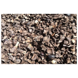 Source Factory Dry Palm Kernel Shell UK Origin OEM/ODM Servicio - Product Image 4