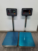 Balance de plateforme numérique Santwell TSB-330 300 kg 4m*5m en acier au carbone 304 étanche IP65, balance électronique OEM CE