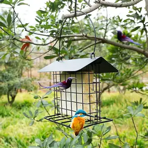 Mangeoire pour oiseaux sauvages d'extérieur, petite suspension noire en métal, étanche à la pluie et à l'écureuil, style gâteau au suif pour l'extérieur du bureau