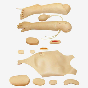 Maniquí de enfermería infantil completamente funcional, modelo de entrenamiento médico Unisex para práctica de atención pediátrica - Product Image 3