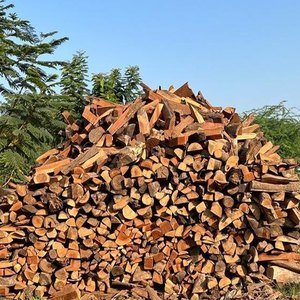Bois de chauffage de qualité supérieure, séché au four, à combustion lente : Chêne/Frêne/Hêtre/Chêne croissant/Aulne/Bois de bouleau/Pin/Épicéa - En vente - Product Image 3