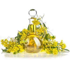 Venta al por mayor de aceite de canola orgánico sin OGM, aceite de cocina vegetal prensado en frío, alimentos saludables económicos - Product Image 3