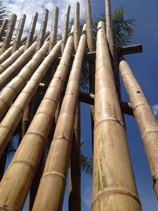 Poteaux de bambou naturel écologique Longueur personnalisée de l'usine du Vietnam pour la décoration et la conception - Product Image 5