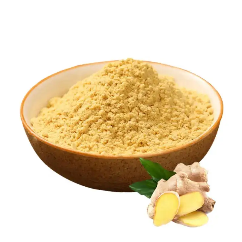 Hot Sale Freeze Dried Ginger Powder / Fresh Ginger For Sale