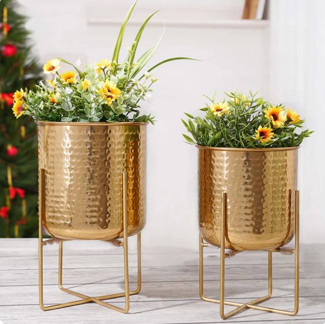 ตามที่แสดง