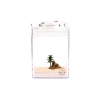 Fourmilière Ant Empire Roam-Around Egypt, taille moyenne, avec zone d'alimentation, fermeture à bouton, en acrylique transparent, écologique, durable et facile à utiliser