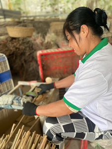 High Quality Environmentally Friendly Biodegradable Bamboo <b>Reusable</b> <b>Straws</b> Green Future Big Supply Vietnam Catered for EU Market - Product Image 3