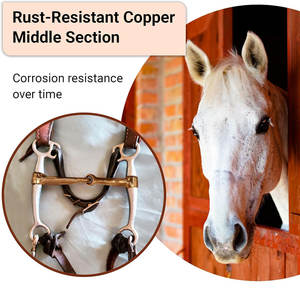 Broca de puerto bajo con mejillas marrones antiguas Boquilla de acero inoxidable de 5 pulgadas Broca de entrenamiento de equitación duradera para control - Product Image 3