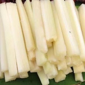 PURE NATURAL FROZEN PEELED SUGARCANE <b>STICKS</b> / FOOD SAFE / BULK EXPORT / READY TO EAT - Product Image 2