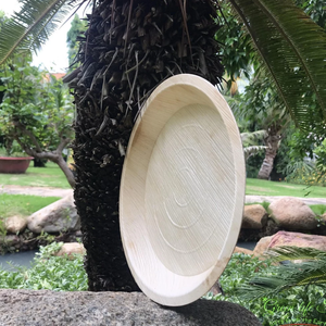 Assiettes compostables en feuilles de palmier d'arec pour pique-niques en plein air et food trucks au Vietnam - Product Image 6