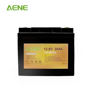 High Quality European Best Supplier Lifepo4 Battery 12v 36ah Lithium Bluetooth