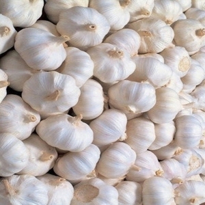Ail pelé de qualité supérieure, nouveau stock, fabriqué en Thaïlande, parfait pour la cuisine et à un bon prix pour vous - Product Image 6