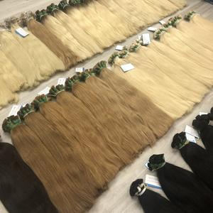 Vente chaude En Vrac Droite Extensions De Cheveux Humains Blonde Couleur Cendre Cuticule Aligné Vierge Cheveux Bruts Vietnamiens - Product Image 2