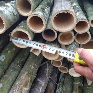 Postes de bambú tratado para construcción de arquitectura | Bambú estructural de gran diámetro | Fabricante personalizado - Product Image 6