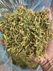 En gros vert séché mâle papaye fleur arbre fruitier avec de grands avantages - Product Image 6