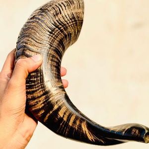 Corne de Choréphore en Mouton Naturel Poli - Décoration Religieuse Écologique de Haute Qualité pour la Maison - Product Image 1