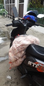 ไก่แช่แข็งฮาลาลคุณภาพสูง เกรดคุณภาพสำหรับการตัดแปรรูป บรรจุภัณฑ์แบบขายส่ง - Product Image 5