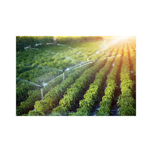 Sistema de riego bastante usado suministrado a granel para compradores de equipos agrícolas globales - Product Image 3