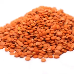 Cheap High Quality Bulk Dried whole split Lentils Red Lentils Green Lentils For Sale in Bulk