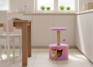 ต้นไม้แมว Universal Amistar Classic Wood Cat Tree 2 ชั้น ดีไซน์รักษ์โลก อบอุ่นสบายสำหรับแมวทุกขนาด บรรจุในกล่อง - Product Image 4