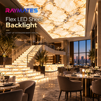 Bande LED ultra-fine RAYMATES UL 24V SMD2835, panneau de rétroéclairage LED, feuille LED flexible, dimmable pour plafond et îlot