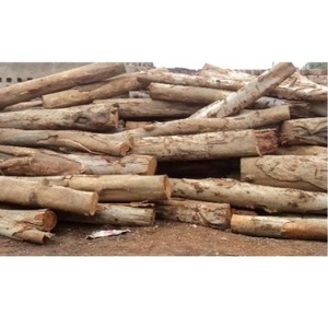 Wood Pillar Good Quality - Product Image 6